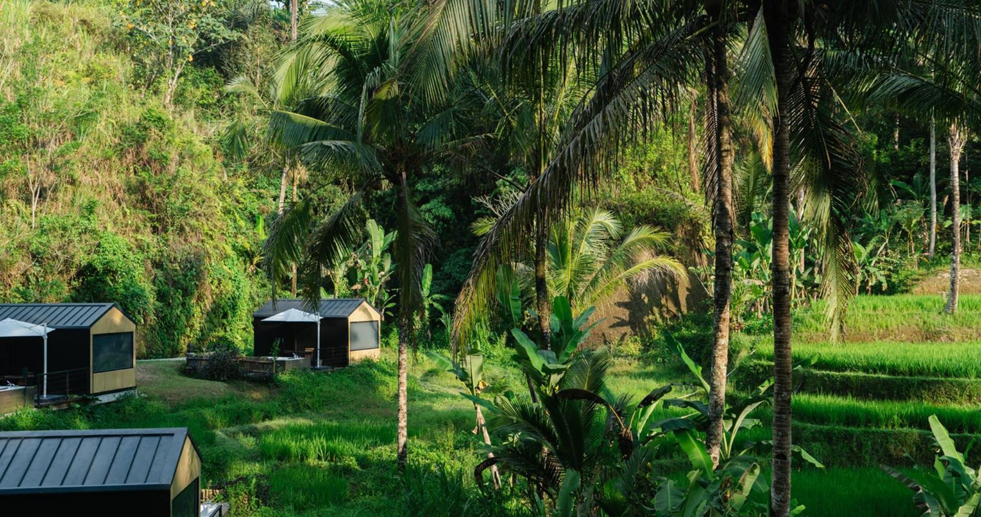 Bobocabin Ubud, Bali Eksteriør bilde